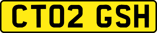 CT02GSH