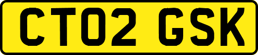 CT02GSK