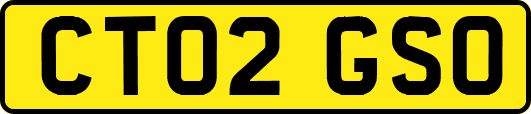 CT02GSO
