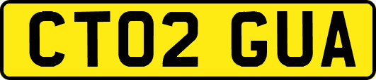 CT02GUA