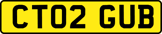 CT02GUB