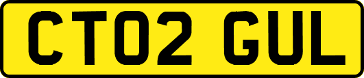 CT02GUL