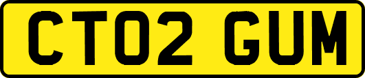 CT02GUM
