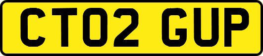 CT02GUP