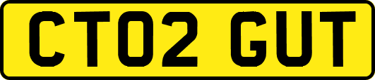 CT02GUT