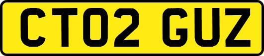 CT02GUZ