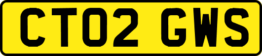 CT02GWS
