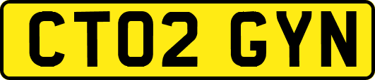 CT02GYN