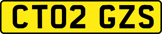 CT02GZS