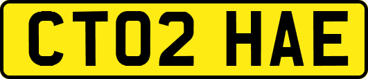 CT02HAE