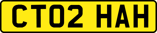 CT02HAH