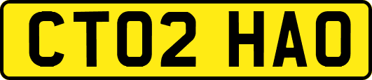 CT02HAO