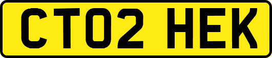 CT02HEK