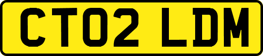 CT02LDM
