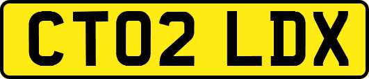 CT02LDX