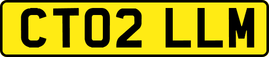 CT02LLM