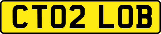CT02LOB