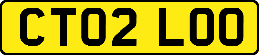 CT02LOO