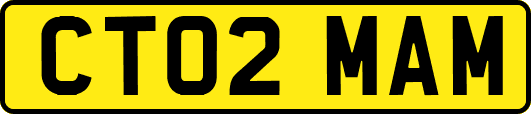 CT02MAM