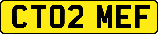 CT02MEF
