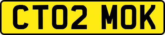CT02MOK