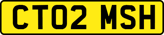 CT02MSH