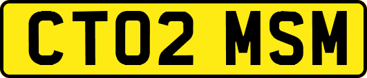 CT02MSM