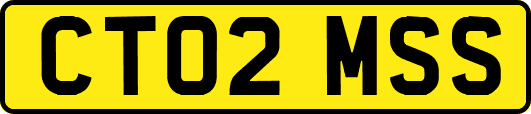 CT02MSS