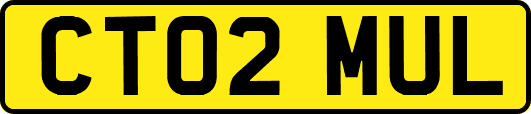 CT02MUL