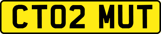 CT02MUT
