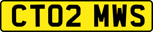 CT02MWS