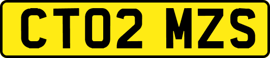 CT02MZS