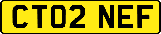 CT02NEF
