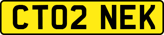 CT02NEK