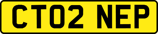 CT02NEP