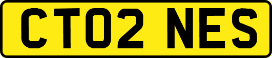 CT02NES