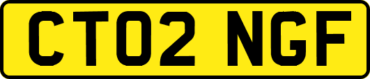 CT02NGF