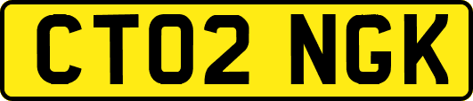 CT02NGK
