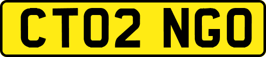 CT02NGO