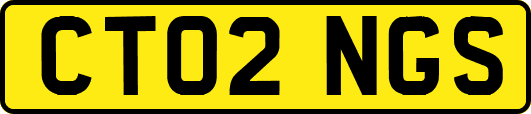 CT02NGS