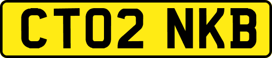 CT02NKB