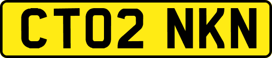 CT02NKN