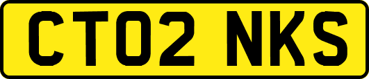 CT02NKS