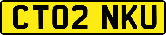 CT02NKU