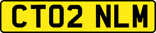 CT02NLM