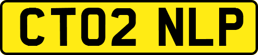 CT02NLP