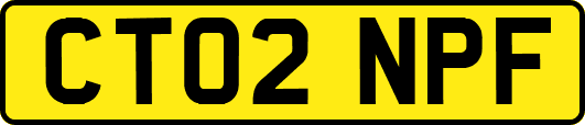 CT02NPF