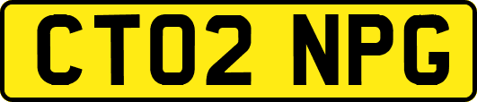 CT02NPG