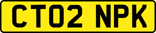 CT02NPK