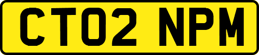 CT02NPM